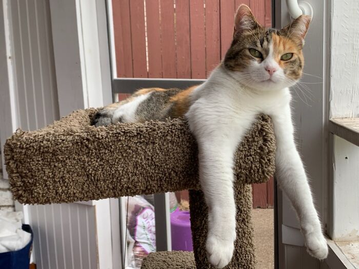 Joanna The Squirmy Queen