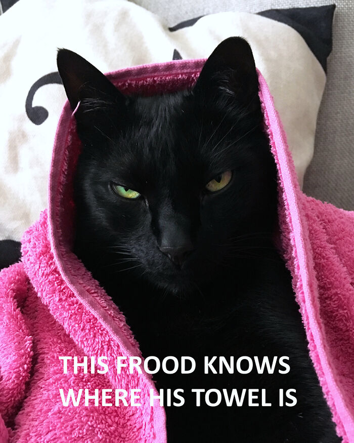 Kazo, Hitchhiking Through Life, Despite Not Having Thumbs