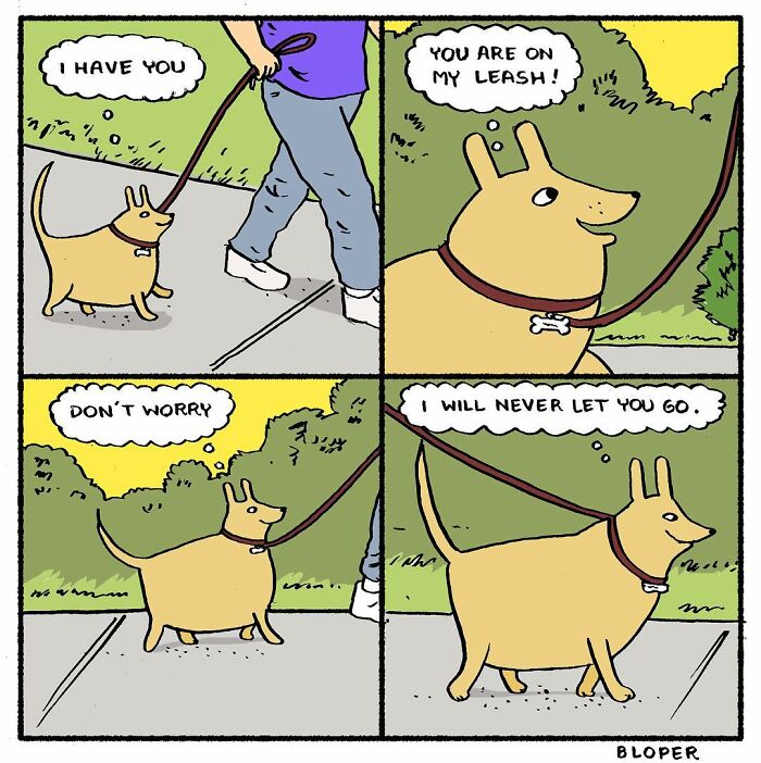 Meet Hammy, The Yellow Dog Who Conquered The Internet With His Unique Personality