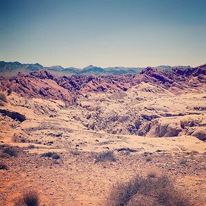 teresalewis429 avatar