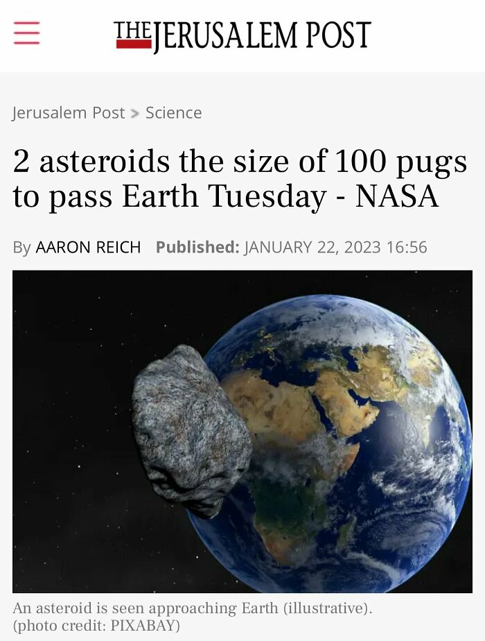100 Pugs