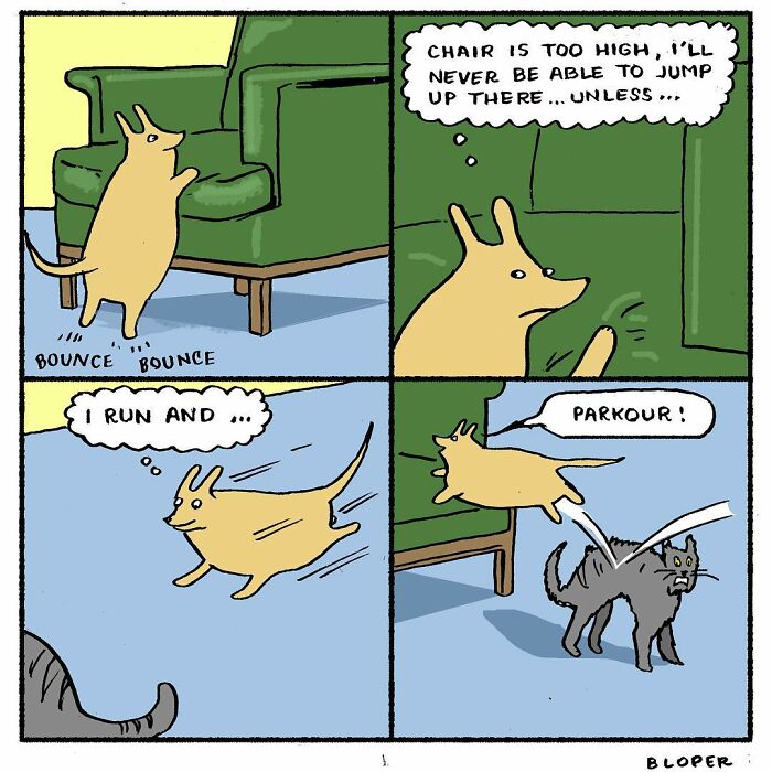 Meet Hammy, The Yellow Dog Who Conquered The Internet With His Unique Personality