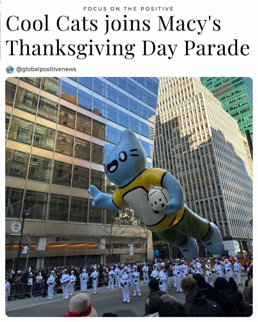 In 2013, Clon Created Blue Cat