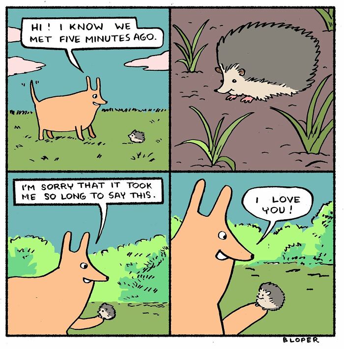 Meet Hammy, The Yellow Dog Who Conquered The Internet With His Unique Personality