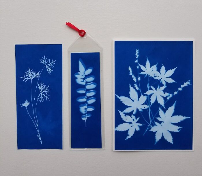  Sunprint Paper Kit: Capture The Sun's Magic And Craft One-Of-A-Kind Art!