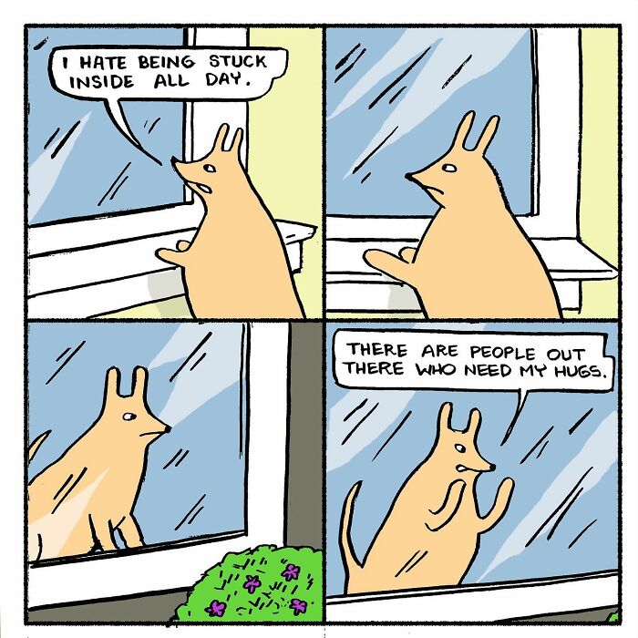 Meet Hammy, The Yellow Dog Who Conquered The Internet With His Unique Personality