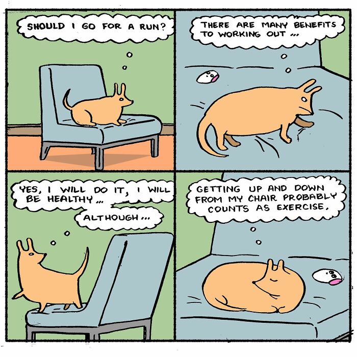 Meet Hammy, The Yellow Dog Who Conquered The Internet With His Unique Personality