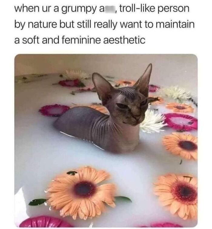 Funny-Nice-Relatable-Memes