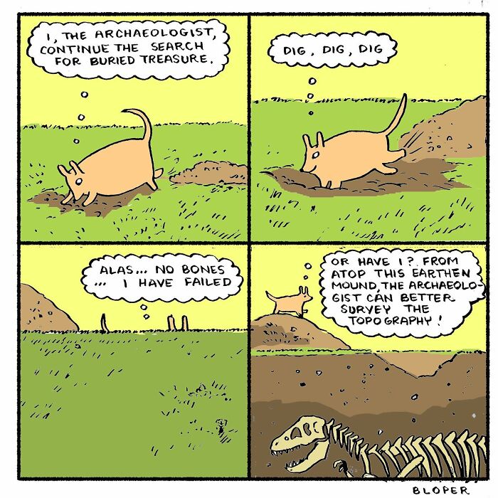 Meet Hammy, The Yellow Dog Who Conquered The Internet With His Unique Personality