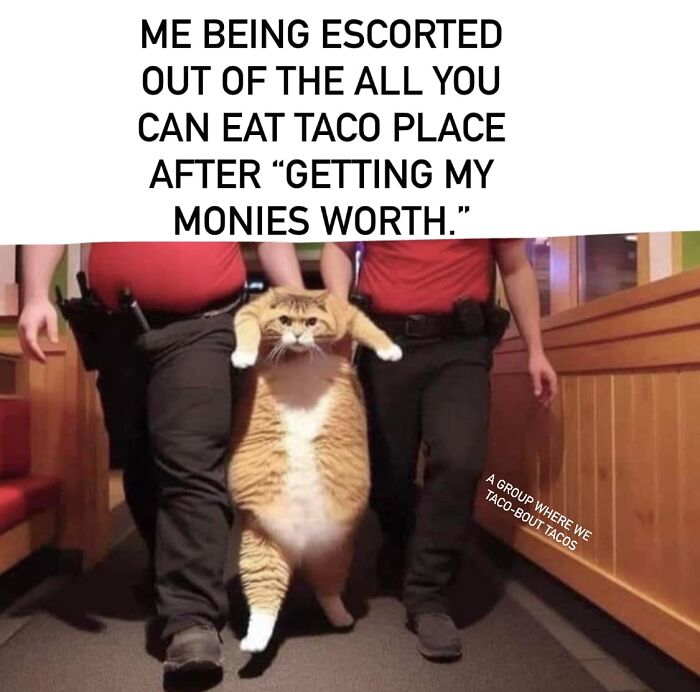 Funny-Nice-Relatable-Memes