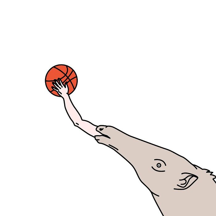 Illustrations By Adela Madej