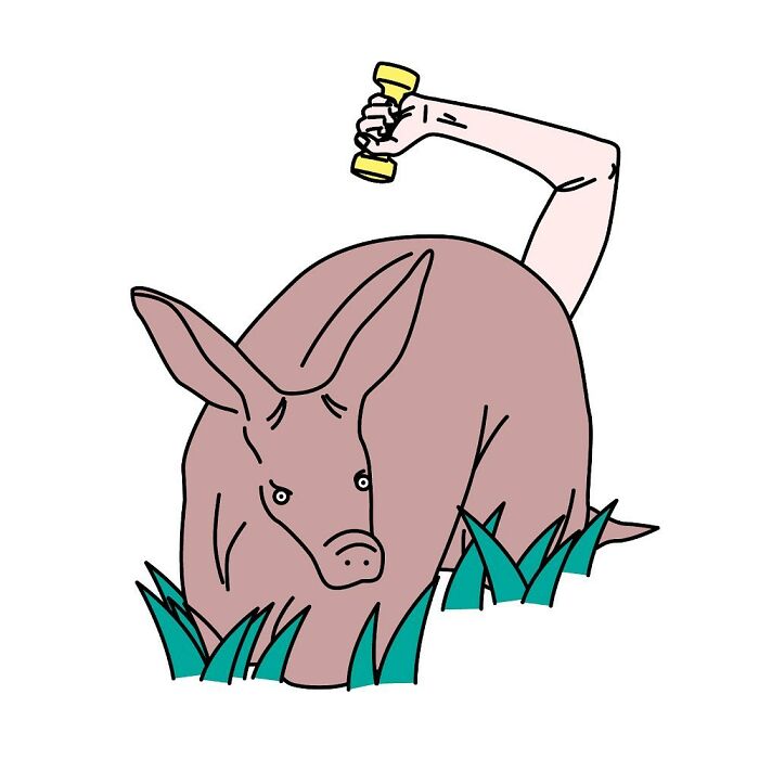 Illustrations By Adela Madej