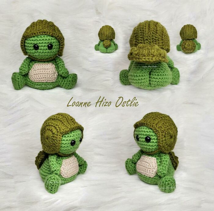 My New Baby Turtle With A Peek-A-Boo Surprise!