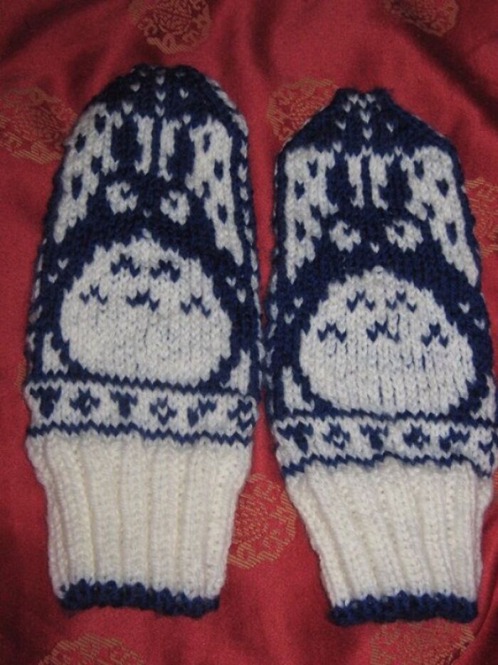 My Wife Made Totoro Mittens For Her Adopted Sister