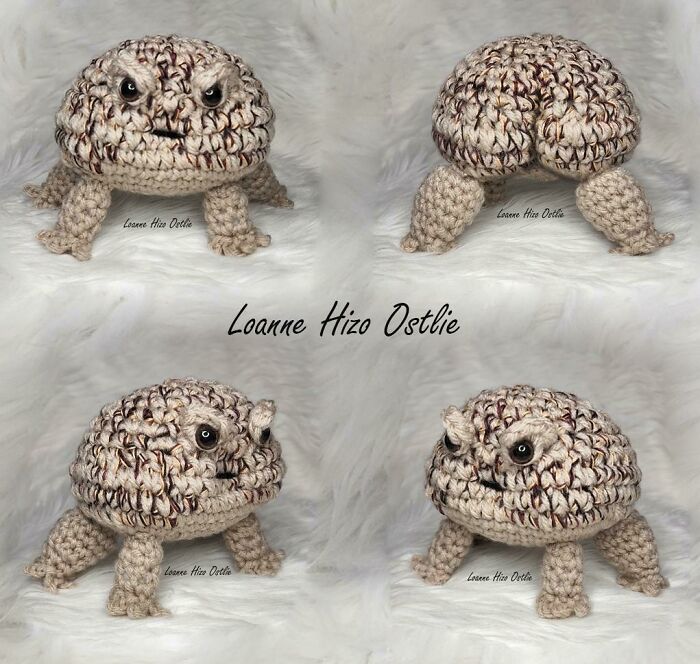 I Placed A Squeaker In Him And Now He's My Daily Stress Ball.😄 (Desert Rain Frog)