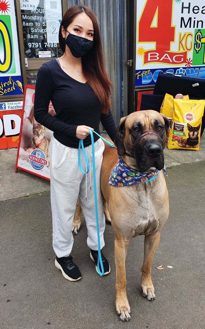 This Unit Of A Dog I Met At The Dog Shop
