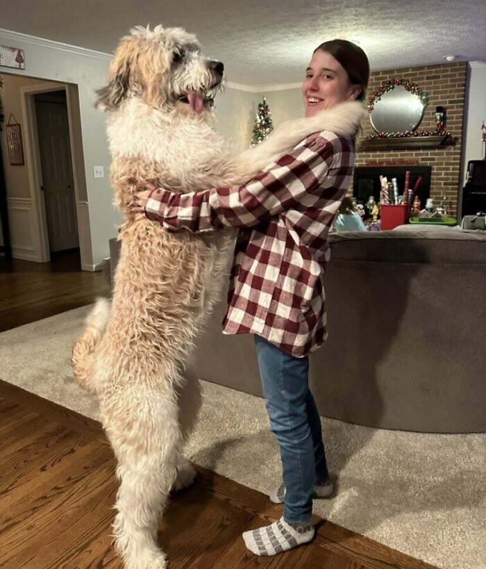 Watson va a cumplir 1 año