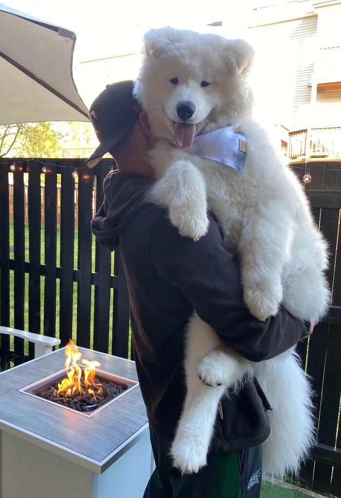 Gus tiene 6 meses y os desea buen día