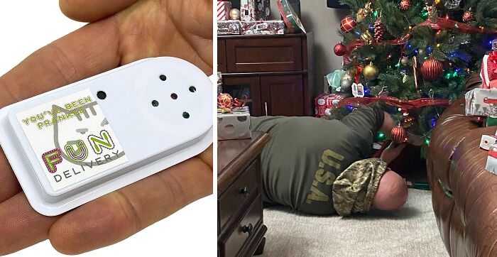 Presenting Meow Hear This: Hidden Meowing Cat Prank Because Life's Not Confusing Enough