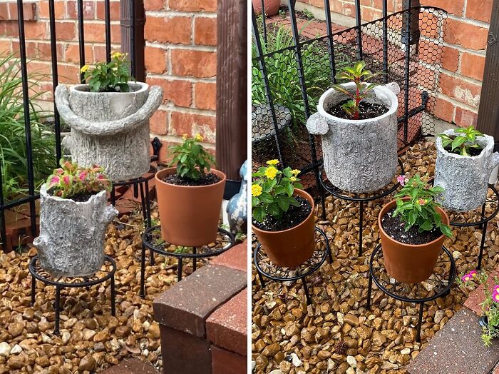 Elevate Your Greens: Heavy Duty Cadani Stands For Multi-Plant Display!