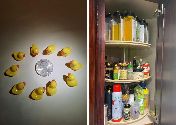 What The Duck? 200 Pieces Of Mini Resin Ducks To Make Your Prankster Dreams Come True