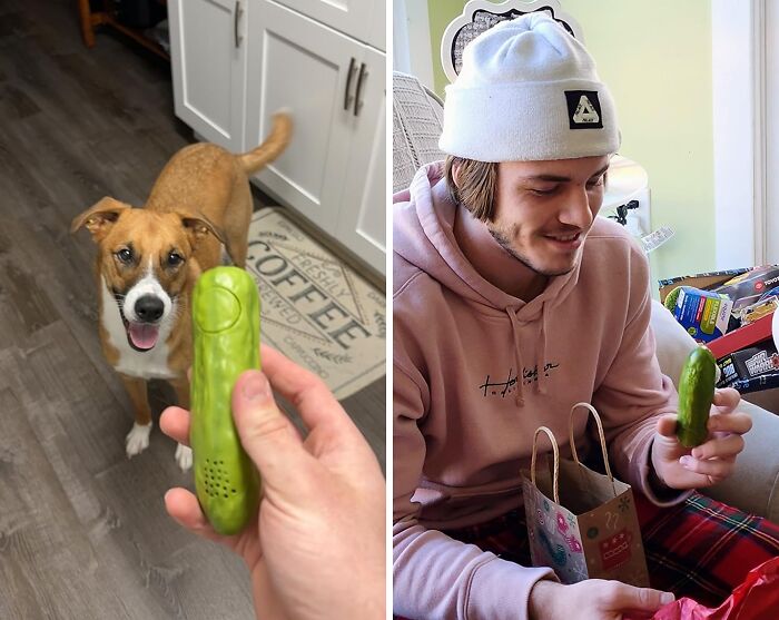  Yodel-Ay-Ee-Ooo! This Pickle Sings, And It’s A Blast