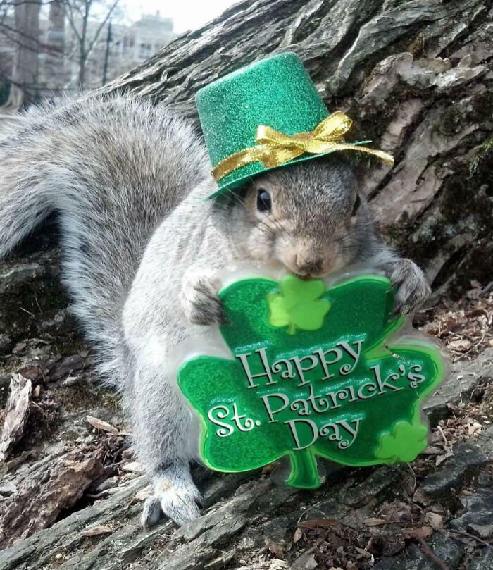 Happy St. Patrick's Day