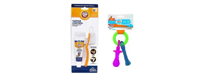 Arm & Hammer Tartar Control Enzymatic Toothpaste And Dental Training Kit