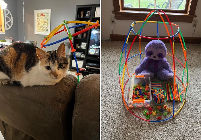 Unlock Creativity With Straw Constructor Toys : Build, Create, And Explore