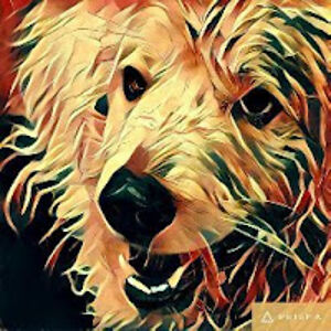 andrewstratton avatar