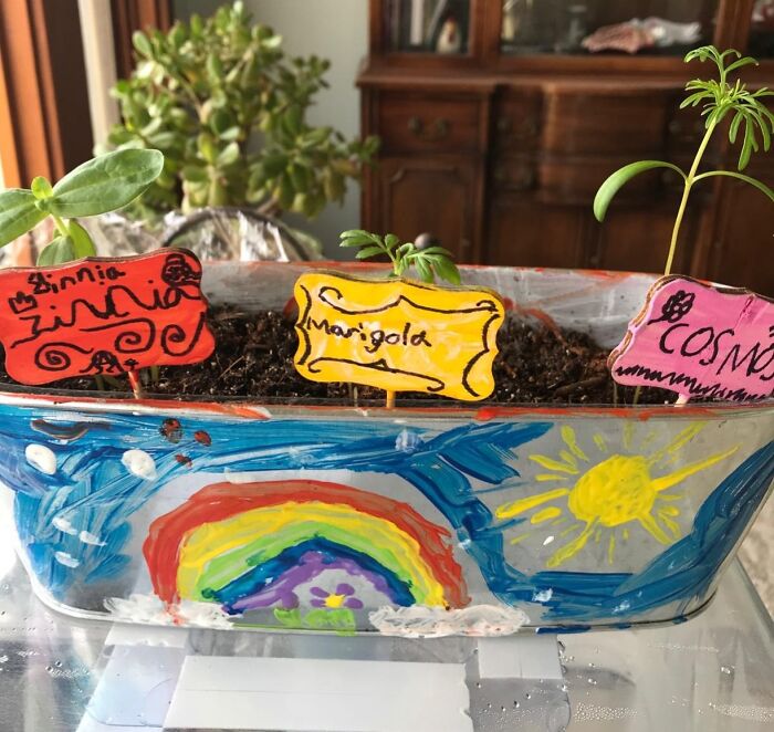 Green Thumbs, Colorful Blooms: Kids' Flower Growing Kit For Artsy Fun!