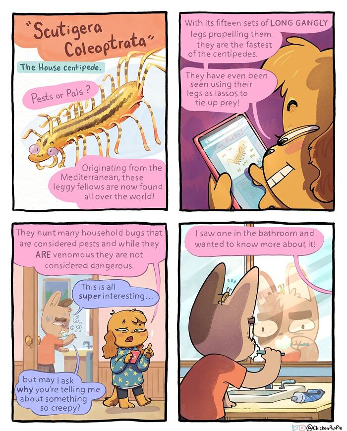 Wholesome And Humorous Comic By Chickenpuppie