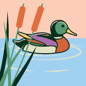 duck_1 avatar