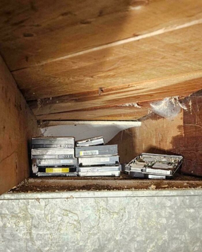 Strange Things Found In The Basement Ceiling Of New Acquired Home