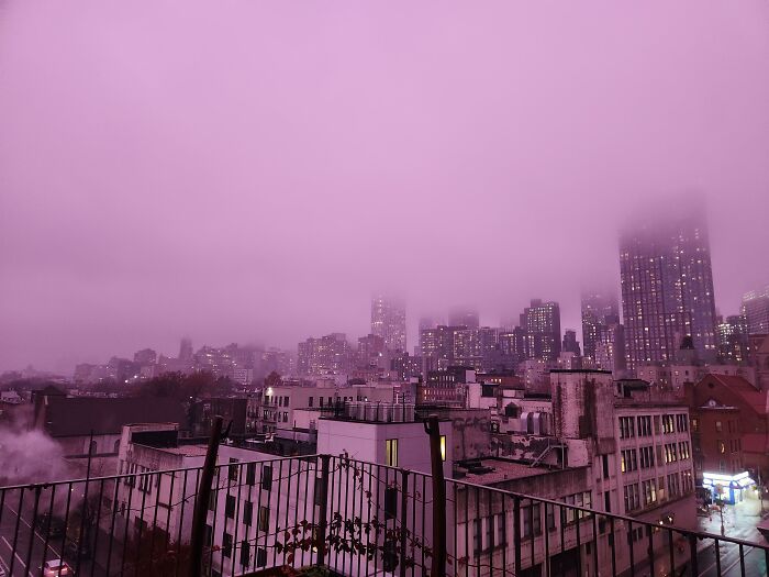 Lluvia morada en Nueva York