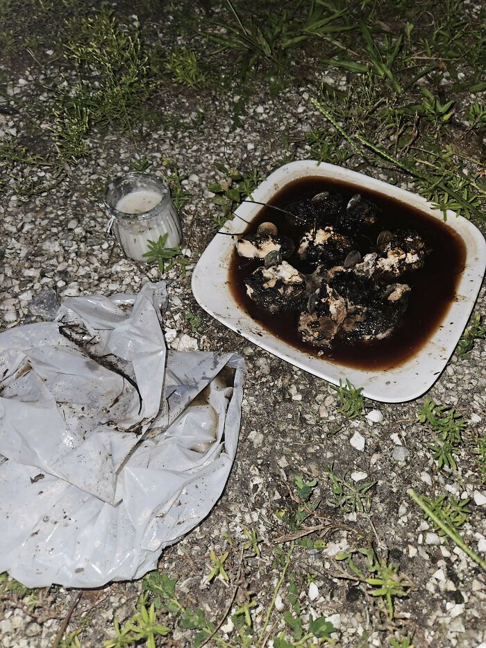 Found Near The Gate In A Cemetery. 9 Moldy Chunks Of Something With Pennies Stuck In Them And A Candle. Smelled Like Rotting Meat