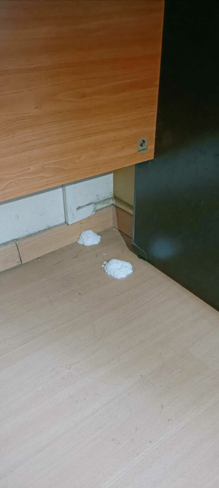 Wtf Are These Random Piles Of White Powder Under My Table??