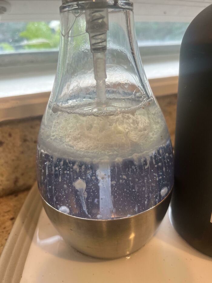 Something Is Growing Inside The Bubbles Of My Dish Soap