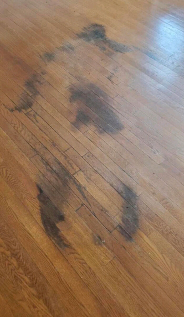 Encontrado en una casa a la venta