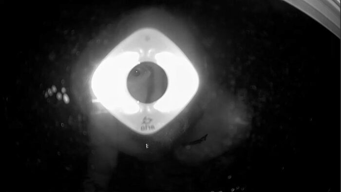 Este tipo se queda mirando mi ventana con cámara en cualquier día y momento