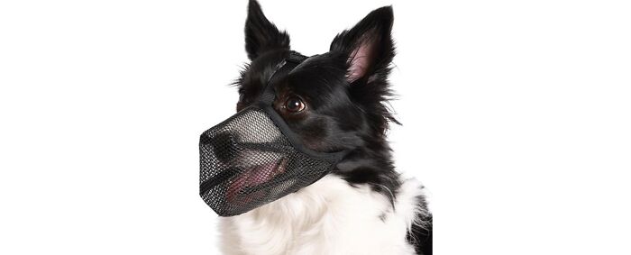Luckypaw Soft Mesh Dog Muzzle