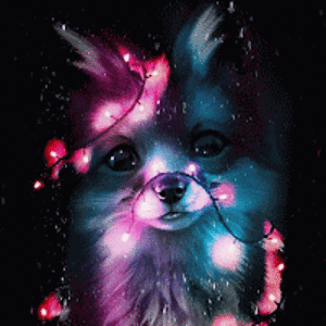 jayonnahowell avatar