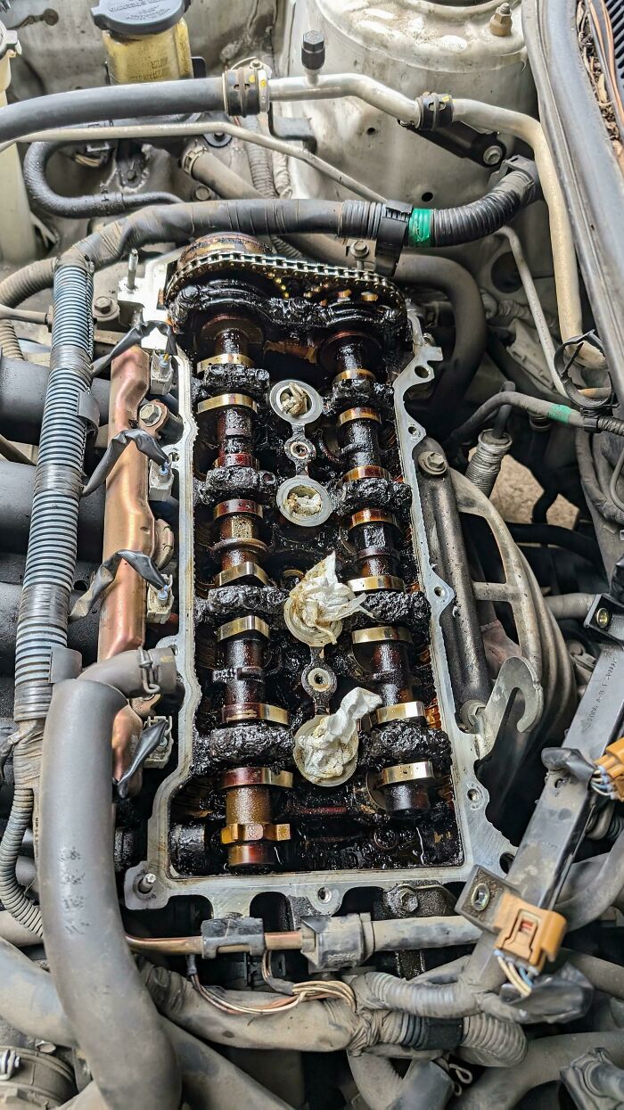 Corolla al que no han cambiado el aceite en 15 años