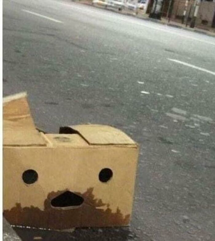 An Accurate Representation Of My Teething 9 Month Old