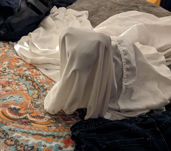 Cat covered with white sheet on a colorful bed, creating a funny malfunctioning cats moment.