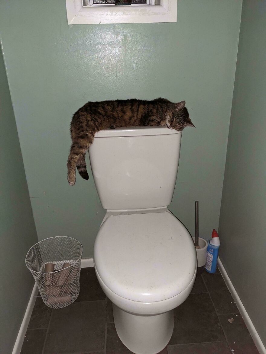 Out Of A Whole House, This Is Fo's Bed