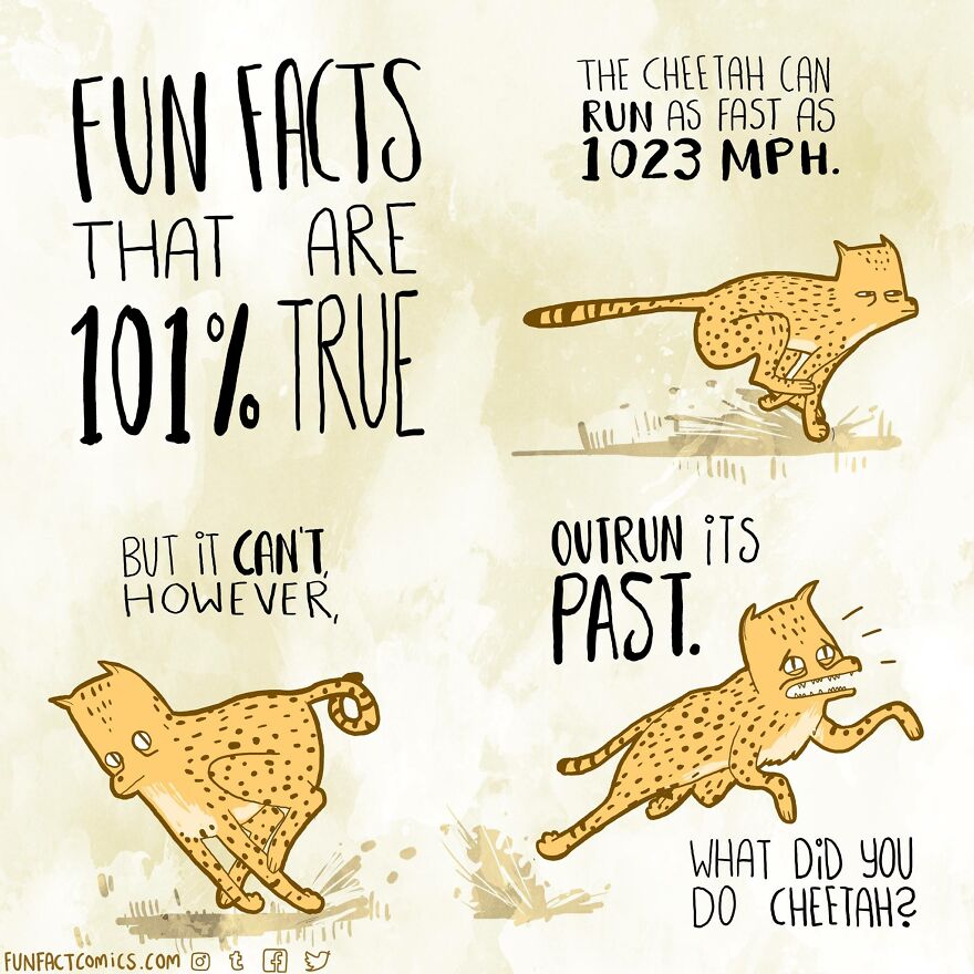 These ‘Fun Fact Comics’ Have The Funniest Answers To Our Everyday Struggles & Questions