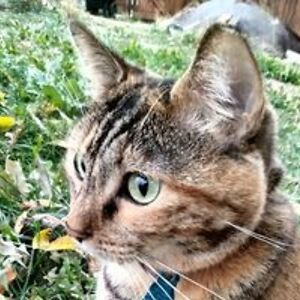 gayla_buitron avatar