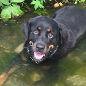 stevenbrown_3 avatar