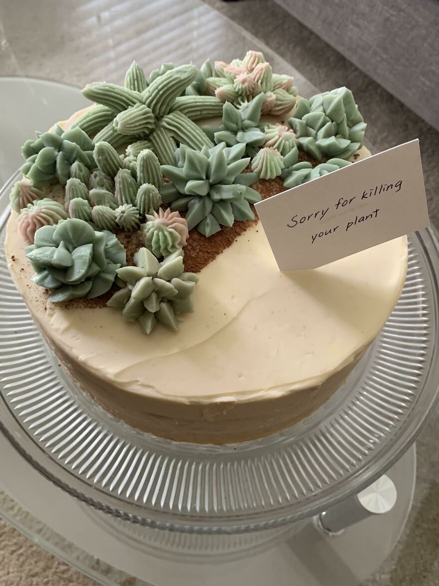 Three Layer Vanilla Cake With Mixed Berry Coulis, Peach Jelly And Buttercream Frosting. I Forgot To Water My Coworker’s Plant When He’s On Leave